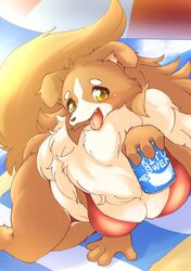  anthro beach beach_towel beach_umbrella beverage_can big_breasts bikini breasts brown_body brown_fur canid canine canis chest_tuft cleavage clothed clothing collie domestic_dog female fluffy fur herding_dog high-angle_view holding_object kemono looking_at_viewer mammal offering_beverage open_mouth parasol pastoral_dog sand seaside sheepdog sky slightly_chubby smile solo swimwear tongue tongue_out towel tuft ukan_muri white_body white_fur yellow_eyes 