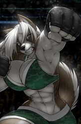  2013 abs absurd_res akita anthro avoid_posting big_breasts breasts canid canine canis clenched_teeth clothing domestic_dog elnora_magner female fighting_ring gloves green_eyes handwear hi_res mammal muscular muscular_female solo spitz strype teeth 