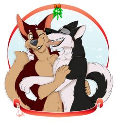  2019 anthro bandit_(holidaypup) black_lips bodily_fluids brown_body brown_fur canid canine canis dingo duo fur kissing kwik_(artist) licking lips male male/male mammal mistletoe one_eye_closed open_mouth plant saliva tongue tongue_out white_body white_fur wolf 