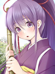  bamboo commentary_request day female hair_between_eyes hands_up high_ponytail holding japanese_clothes kimono kozue_akari long_hair looking_at_viewer outdoors paper_hat paper_kabuto parted_lips pink_nails ponytail purple_eyes purple_hair purple_kimono sengoku_otome solo tokugawa_ieyasu_(sengoku_otome) upper_body 