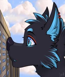  ambiguous_gender anthro black_body black_fur blue_body blue_eyes blue_fur boop building canid canine canis cloud crazymangak digital_media_(artwork) ear_piercing ear_ring fur hi_res macro mammal outside piercing ring_piercing signature sky solo window wolf 