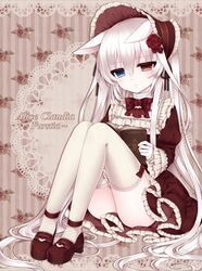  alice_claudia animal_ears bad_id bad_pixiv_id commentary_request female gloves heterochromia highres long_hair original solo thighhighs tsukikage_nemu white_hair 