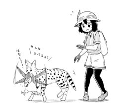  animal animalization backpack bag bird commentary_request feline female gloves greyscale hat helmet kaban_(kemono_friends) kemono_friends ki-51_(ampullaria) monochrome pantyhose penguin pith_helmet royal_penguin royal_penguin_(kemono_friends) serval serval_(kemono_friends) shorts translated 