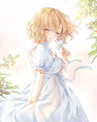  :d ^_^ arm_behind_back blonde_hair blush braid breasts closed_eyes commentary day dress female flower hair_ribbon holding holding_flower medium_breasts open_mouth original outdoors photoshop_(medium) pingo puffy_short_sleeves puffy_sleeves ribbon ribbon_braid short_hair short_sleeves side_braid sidelocks single_braid smile solo symbol-only_commentary tress_ribbon wavy_hair white_dress white_flower white_ribbon wind 