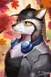  absurd_res anthro black_clothing black_hat black_headwear black_nose black_sclera black_topwear brown_markings bust_portrait canid clothed clothing electronics fur glistening glistening_eyes grey_body grey_clothing grey_fur grey_topwear hat headgear headphones headphones_around_neck headwear hi_res kemono looking_at_viewer male mammal markings mouth_closed orange_eyes outside portrait signature solo t.y.stars topwear wearing_hat white_body white_fur 