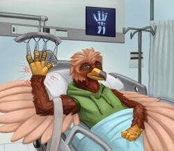  4_fingers 4_toes absurd_res accipitrid accipitriform anthro arm_tuft avian beak bed biped bird bottomwear broken_arm broken_wing broken_wrist brown_body brown_feathers cheek_tuft claws clothing digitigrade eagle facial_tuft feathered_tail feathered_wings feathers feet fingers furniture golden_eagle green_clothing green_eyes grey_beak hi_res hospital knopenri leg_tuft multicolored_beak nonbinary_(lore) pain pain_stars pavlos_andriades radiograph scuted_hands scutes shorts tail tail_tuft talons tan_body tan_feathers toes topwear traction true_eagle tuft two_tone_beak white_claws winged_arms wings wrist_tuft yellow_beak 