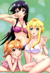  3girls arisugawa_reiko ass_visible_through_thighs bikini black_hair breasts cleavage jinryou_karen large_breasts long_hair nyantype ore_ga_ojou-sama_gakkou_ni_&quot;shomin_sample&quot;_toshite_rachirareta_ken swimsuit tenkuubashi_aika 