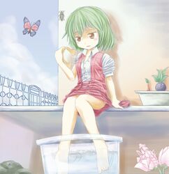  aneha_zaku animal barefoot blush brown_eyes bug building butterfly commentary_request day female flower green_hair house kazami_yuuka oddish open_mouth orchid_mantis outdoors pikmin_(creature) pikmin_(series) plaid pokemon pokemon_(creature) red_eyes red_pikmin shirt sitting skirt soaking_feet solo toes touhou water 