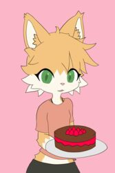  2:3 absurd_res anthro blush bottomwear cake clothing coral_shirt countershade_face countershade_torso countershading dessert domestic_cat felid feline felis female food fur green_eyes grey_bottomwear grey_clothing grey_pants hi_res hikaridraws holding_cake holding_food holding_object holding_plate looking_at_viewer mammal midriff pants pink_background rolo_(rolo_stuff) simple_background smile solo tan_body tan_fur white_body white_countershading white_fur 