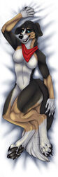  absurd_res anthro canid canine canis dakimakura dakimakura_design domestic_dog female hi_res mammal pillow solo zhekathewolf ztw2023 