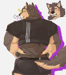  anthro ass blush brown_body brown_fur canid canine canis chatora_(pixiv) clothing domestic_dog fur lifewonders live_a_hero looking_at_viewer looking_back male mammal muscular muscular_anthro muscular_male pubraseer rear_view simple_background solo underwear white_background 