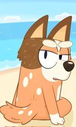  2026 4_fingers anthro arm_support australian_cattle_dog beach bedroom_eyes bent_leg big_ears big_eyes black_eyes black_nose blue_sky bluey_(series) brown_body brown_ears brown_fur canid canine canis cattledog chilli_heeler cloud day detailed_background digital_drawing_(artwork) digital_media_(artwork) domestic_dog eyebrows eyelashes featureless_chest female fingers flat_chested fur fur_tuft glistening glistening_nose gloves_(marking) head_tuft head_turned herding_dog hi_res iris leg_markings lexusart616 light_body light_fur light_markings long_eyelashes looking_at_viewer looking_back looking_back_at_viewer mammal markings mature_anthro mature_female multicolored_body multicolored_fur multicolored_tail narrowed_eyes no_pupils nude nude_anthro nude_female open_mouth orange_body orange_fur outside pastoral_dog pointy_ears prick_ears red_tongue sand sea seductive shadow sitting sky snout socks_(marking) solo spots spotted_back spotted_body spotted_fur spotted_markings spotted_tail tail tail_markings tan_inner_ear teeth thick_eyebrows thick_thighs three-quarter_view tongue tuft two_tone_tail water white_body white_clouds white_eyebrows white_fur white_markings white_sclera white_spots 