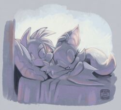  anthro bat bed canid canine catbeecache duo female fox furniture male male/female mammal membrane_(anatomy) membranous_wings pillow rouge_the_bat sega signature sleeping smile sonic_the_hedgehog_(series) tails wings 