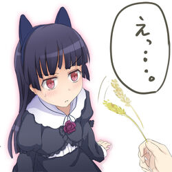  animal_ears bad_id bad_pixiv_id black_hair cat_ears cat_teaser dress female gokou_ruri gothic_lolita lolita_fashion long_hair ore_no_imouto_ga_konna_ni_kawaii_wake_ga_nai oumi_(rsag) red_eyes solo_focus 