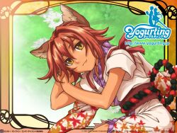  animal_ears catgirl tagme yogurting 