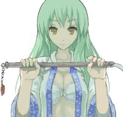  bad_drawr_id bad_id bra female green_hair kochiya_sanae lingerie long_hair oekaki open_clothes open_shirt shirt simple_background smile solo touhou underwear upper_body white_bra yellow_eyes yuugiri_(u-slash) 