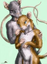  anthro blue_eyes brown_body brown_fur conditional_dnp duo entwined_tails fur grey_body grey_fur love male mammal mouse murid murine navel nude piercing pink_nose rat rodent tail tail_coil whimsicalsquirrel whiskers 