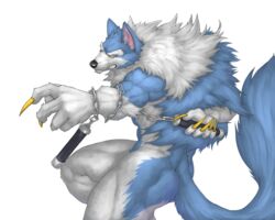  2016 5:4 abs action_pose angry anthro biceps big_muscles biped black_nose blue_body blue_fur canid canine canis capcom captainjohkid claws clenched_teeth darkstalkers digital_media_(artwork) fangs fluffy fluffy_tail fur hi_res jon_talbain kusari-fundo looking_at_viewer male mammal muscular muscular_anthro muscular_male mythological_canine mythological_creature mythology naturally_censored nude pose side_view simple_background solo standing tail teeth were werecanid werecanine werewolf white_background white_body white_fur wolf yellow_eyes 