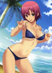  :p absurdres adjusting_clothes adjusting_swimsuit beach bikini breasts cleavage cloud day female green_eyes highres koutaro large_breasts leaning_forward narrow_waist naughty_face navel one-piece_tan outdoors palm_tree red_hair rio_rollins shiny_skin short_hair smile solo strap_lift super_blackjack swimsuit tan tanlines tongue tongue_out tree underboob 