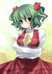  alternate_hairstyle ascot blush breast_hold breasts commentary_request crossed_arms female frown green_hair hair_ribbon highres kazami_yuuka medium_breasts plaid plaid_skirt plaid_vest red_eyes ribbon shirt skirt skirt_set solo suzuki_nene touhou twintails unmoving_pattern vest 