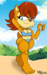  anthro archie_comics bikini breasts brown_hair chipmunk cleavage clothed clothing female ground_squirrel hair hi_res mammal mrxrickyx outside overweight overweight_anthro overweight_female rodent sally_acorn sciurid sega slightly_chubby slightly_chubby_female smile solo sonic_the_hedgehog_(archie) sonic_the_hedgehog_(comics) sonic_the_hedgehog_(series) swimwear 