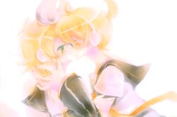  kagamine_len kagamine_rin shimeko tagme vocaloid 