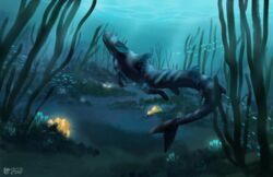  alien ambient_fish ambient_sealife asian_mythology canid critter_cove digital_media_(artwork) dorsal_fin dragon east_asian_mythology eastern_dragon feral fin fish full-length_portrait fungus hi_res mammal marine monster mushroom mythological_creature mythological_scalie mythology portrait reptile scalie seaweed shark shark_tail shestaroo solo swimming underwater water young 