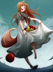  animal_ears ayakura_juu dress duplicate horo spice_and_wolf tail 