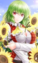  belt between_breasts blush breasts buckle commentary_request female flower green_hair kazami_yuuka large_breasts looking_at_viewer open_clothes open_shirt red_eyes shirt short_hair smile solo sunflower touhou upper_body vest y2 