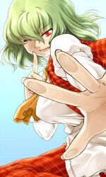  ascot breasts commentary_request female fourth_wall green_hair hands index_finger_raised kazami_yuuka medium_breasts one_eye_closed phenne plaid plaid_vest red_eyes shirt short_hair skirt smile solo touching touhou vest 