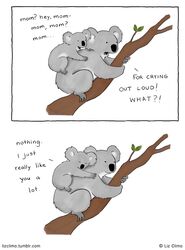  age_difference ambiguous_gender daww dialogue duo english_text female feral fur grey_body grey_fur hi_res humor koala leaf liz_climo mammal marsupial mother_(lore) parent_(lore) plant simple_background text tree url vombatiform white_background young young_feral 