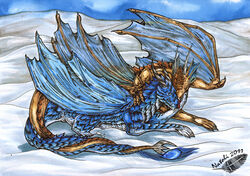  2011 blue_body blue_eyes blue_scales brown_body claws cuddling day desertyrain_minrok dragon dragonlovers dremora duo european_mythology fangs feral gradient_scales horn licking lying membrane_(anatomy) membranous_wings mythological_creature mythological_scalie mythology natoli outside painting_(artwork) scales scalie sky smile snow tail tail_tuft teeth tongue tongue_out traditional_media_(artwork) tuft twisted_horns watercolor_(artwork) western_dragon wings 