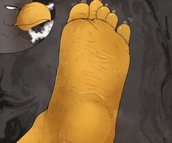  5_toes accipitrid accipitriform avian barefoot bird black_background bodily_fluids eagle feet foot_focus foot_shot humanoid_feet male plantigrade simple_background soles sweat sweaty_feet tan_(artist) tan_(character) toe_wiggle toes 