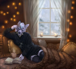  almatea anthro bed beverage book candle canid canine canis clothing coffee coffee_mug dante_kinkade footwear furniture knee_highs knee_socks legwear lying lying_on_bed male mammal on_bed on_side reading relaxing snow snowing snowing_outside socks solo string_lights sweater topwear winter wolf 