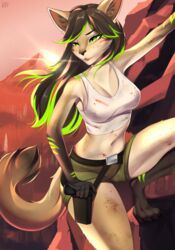  absurd_res anthro artist_name bottomwear canid canine climbing clothing dirty domestic_cat felid feline felis female fox gun hair hi_res hybrid jade_faircrest light long_hair looking_away mammal midriff mountain ranged_weapon serious shirt shorts solo sunlight sunset survival tank_top tomb_raider topwear v3nusbby weapon 