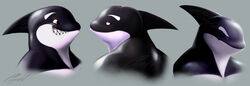  anthro black_body black_skin cephl cetacean dolphin facial_expressions fin frown looking_back male mammal marine oceanic_dolphin orange_eyes orca smile solo teeth toothed_whale white_body white_skin 