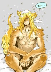  1boy blonde_hair claws commentary_request furrification furry furry_male long_hair male_focus rebasashi snow tail tengen_toppa_gurren_lagann viral_(ttgl) yellow_eyes 