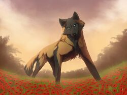  blue_eyes canid canine canis cloud female feral field fisheye_lens flower johis looking_at_viewer low-angle_view mammal nude outside plant sky solo stare tree wolf wood 