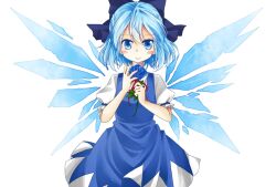  bad_id bad_pixiv_id blue_eyes blue_flower blue_hair blue_rose blush_stickers bow cirno female flower hairbow highres ice ice_wings platinum_(o0baijin0o) puffy_sleeves rose short_sleeves slit_pupils smile solo touhou wings 