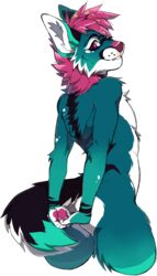  anthro ass black_body black_fur blue_body blue_fur canid canine canis fur hair hands_behind_back hi_res kasusei looking_at_viewer looking_back male mammal maremare neeyo nude pink_eyes pink_hair sei_kasu simple_background solo stretching white_background white_body white_fur wolf 