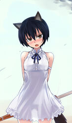  :o animal_ears arms_behind_back bad_id bare_shoulders black_hair blush dress female head_tilt katana lowleg lowleg_panties null_(nyanpyoun) oerba_yun_fang panties see-through short_hair skirt solo strike_witches_zero sundress sweat sword tail underwear wakamoto_tetsuko weapon wolf_ears wolf_girl wolf_tail world_witches_series yellow_eyes 