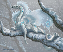  2006 ambiguous_gender blue_eyes dragon feral light_theme long_tail lying mythological_creature mythological_scalie mythology outside plant scalie snow solo tail tina_leyk tree white_body wings 