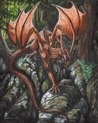  2004 bat_wings blue_eyes claws dragon feral forest horn membrane_(anatomy) membranous_wings muscular muscular_feral mythological_creature mythological_scalie mythology plant red_body red_scales rock scales scalie solo spines tail tina_leyk tree wings 