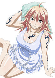  ikkitousen shibai_chuutatsu tagme 