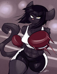  2018 abs angry anthro black_body black_fur black_hair bottomwear boxing boxing_gloves bra breasts chalo clothed clothing domestic_cat felid feline felis female fur hair handwear las_lindas looking_at_viewer mammal midriff motion_lines muscular muscular_anthro muscular_female punch rachael_saleigh shorts signature solo sport sports_bra tail thick_thighs underwear wide_hips yellow_eyes 