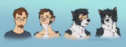  2019 absurd_res base_one_layout basic_sequence border_collie bust_portrait canid canine canis clothed clothing collie domestic_dog eyewear four_frame_image four_frame_sequence glasses green_eyes herding_dog hi_res human human_to_anthro lakehounds linear_sequence male mammal one_row_layout pastoral_dog portrait sequence sheepdog shirt simple_background smile snout solo species_transformation topwear transformation transformation_sequence 