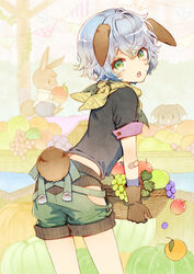  1boy animal_ears blue_hair blush duplicate green_eyes grey_hair highres kuroyuki looking_at_viewer looking_back male_focus md5_mismatch original pixel-perfect_duplicate rabbit_boy rabbit_ears rabbit_tail resolution_mismatch short_shorts shorts solo source_smaller tail thighs 