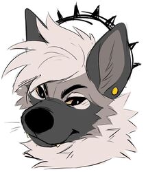  anthro black_eyebrows black_nose canid canine canis cheek_tuft colored domestic_dog ear_piercing eyebrows facial_tuft fangs fur gauged_ear grey_body grey_ears grey_fur grey_inner_ear hair headshot_portrait keeshond male mammal messy_hair neck_tuft piercing portrait princely_(princelykaden) princelykaden solo spitz teeth tuft white_body white_fur yellow_ear_piercing 