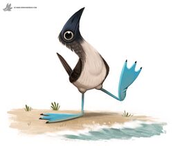  2015 ambiguous_gender avian beach bird black_body black_feathers blue-footed_booby booby_(bird) claws digital_media_(artwork) digital_painting_(artwork) feathered_wings feathers feral grass grey_body grey_eyes grey_feathers piper_thibodeau plant sand seaside simple_background solo sulid water white_background white_body white_feathers wings 