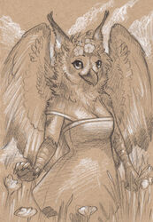  2022 anthro avian bare_shoulders bird breasts cadmiumtea cleavage clothed clothing dress feathered_wings feathers felid feline female field floral flower flower_crown flower_garland garland gryphon hi_res hybrid looking_at_viewer mammal monochrome mythological_avian mythological_creature mythology off_shoulder owl pallas&#039;s_cat plant sepia smile solo sona_(noxiis) sundress traditional_media_(artwork) wings 